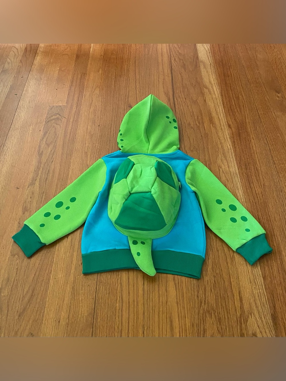 Doodle Pants Green and Teal Turtle Hoodie